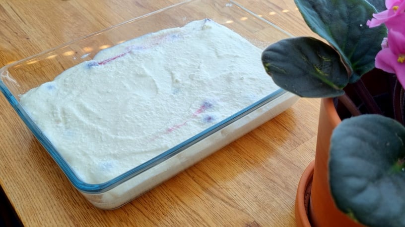 Assemble the Casserole 3